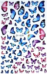 BUTTERFLY Nail Stickers # 131
