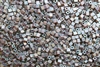 Miyuki Square 4MM Beads 4SB134FR TR MA Dark Golden Brown