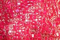 Miyuki Square 4MM Beads 4SB209 ICL Clear/ Fushia