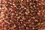 Miyuki 5/0 E Seed Beads 5E3272 TSL Rococo Ruby Topaz