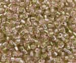 Miyuki 5/0 E Seed Beads 5E3279 TSL Rococo Pink Chartreuse 10 Grams