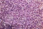 6RR1531 ICL Clear/Purple 10 Grams Miyuki Rocailles
