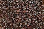 6RR4505 Picasso T Silk Cream 10 Grams Miyuki Seed Beads