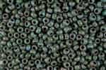 6RR4514 Picasso MA Seafoam Green 10 Grams Miyuki Seed Beads