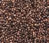 Etched Czech 8/0 Seed Beads - 10 Grams - 8CZ00030-27180 - Crystal Etched Capri Gold