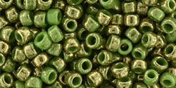 Toho 8/0 Round 8TO1702 - Gilded Marble Green - 10 Grams