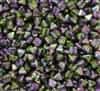 6mm Czech Glass Pyramid 2-Hole Beadstud - BST06-00030-95000 - Magic Orchid - 4 Beads