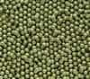 Pearl Coat Round 3mm : CP3-10272 - Pearl - Light Green - 50 pcs