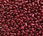 Pearl Coat - Vertical Drops 6/4mm: CPVD4-61265 - Pearl - Burgundy - 25 Pieces