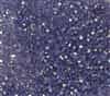 Preciosa Machine Cut 3mm Bicone Crystals : CZBC3-X2051 - Tanzanite AB - 25 count