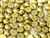 CZCAB-29418 - All Beads Original 2-hole Cabochon 6mm - Alabaster Metallic Olivine - 12 Count