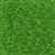 Miyuki Delica Seed Beads 5g 11/0 DB1106 T Crisp Apple Green