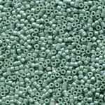 Miyuki Delica Seed Beads 5g 11/0 DB2313 Opaque Matte Glazed Rainbow Wintergreen