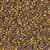 Miyuki Delica Seed Beads 1g 11/0 DB0507 24 Kt Rose Gold Plated