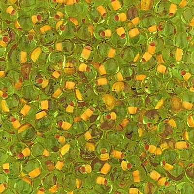 [ OR ] Miyuki Drop/Fringe Seed Beads 3.4mm DPF13 F ICL Salmon/Lime