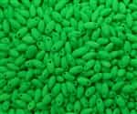 Neon Rice Droplet: NRD-BNGR - Neon Green - 8 Grams