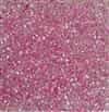 Matsuno Peanut ICL R Clear/Pink Beads