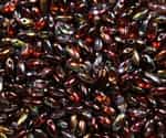 Magic Wine Czech Rizo Seed  Beads - 8 Grams