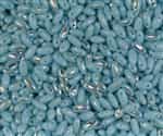 Turquoise AB Czech Rizo Seed  Beads - 8 Grams