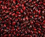 Opaque Red Picasso Czech Rizo Seed Beads - 8 Grams