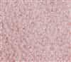 Toho 3mm Magatama Beads - TM3-145 Ceylon Innocent Pink - 5 Grams