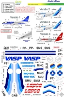 1:200 Saeta, VASP, Rio Sul Boeing 737