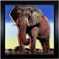 African Elephant - From Endangered Species