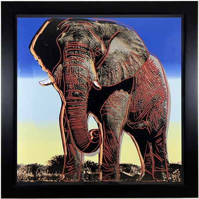 African Elephant - From Endangered Species