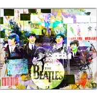 "Meet The Beatles" by Bisaillon Brothers