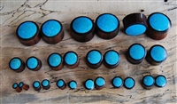 Pair of Brown Sono Wood and Blue Turquoise Stone Solid Plugs