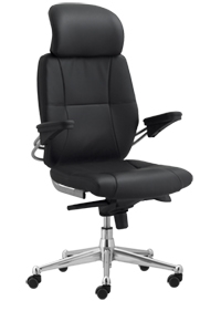 Trent Task Chair with Headrest