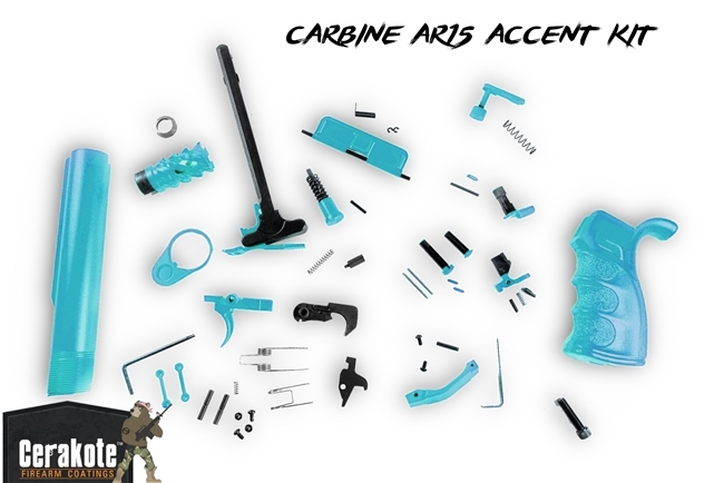 CARBINE AR15 Accent Kit - You Choose Color - 60+ Colors to Choose From