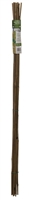 Gardener'S Blue Ribbon Outdoor Seasons BB4 Plant Stake 4 ft L