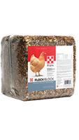 PURINA FLOCK BLOCK 25LB