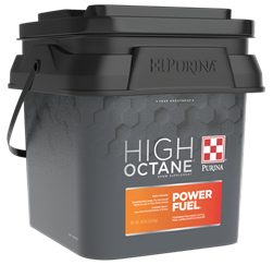 PURINA HIGH OCTANE POWER FUEL TOPDRESS SHOW SUPPLEMENT 30LB PAIL