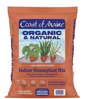 CAPE NEDDICK INDOOR HOUSEPLANT MIX 8QT