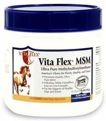 VITA FLEX MSM JOINT SUPPLEMENT 2LB