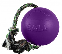 ROMP N ROLL BALL 4.5IN PURPLE