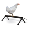 Thermo-Chicken Heated Perch 26 inch