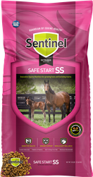 BLUE SEAL SENTINEL SAFE START 16% EXTRUDED HORSE FEED 50LB
