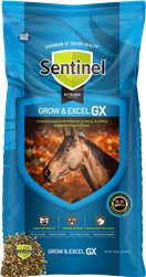BLUE SEAL SENTINEL GROW & EXCEL 14% EXTRUDED HORSE FEED 50LB