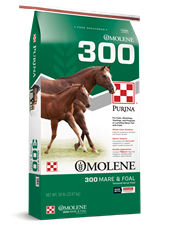 Purina Omolene 300 Growth Horse Feed 50lb