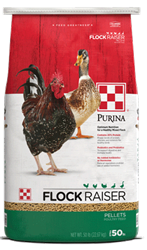PURINA FLOCK RAISER PELLETS 50LB