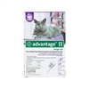 ADVANTAGE II FLEA CONTROL CAT OVER 9LB 4PK
