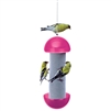 HAVE-A-BALL FINCH FEEDER