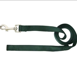 CLASSIC NYLON LEASH 5/8X6 HUNT