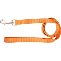 CLASSIC NYLON LEASH 5/8X6 MANGO