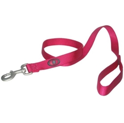 CLASSIC NYLON LEASH 5/8X6 RASP