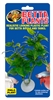 BETTA PLANT PHILODENDROM