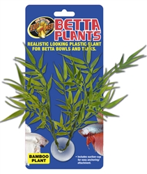 BETTA PLANT BAMBOO